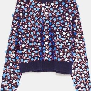 Zara sequin sweater